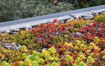 the cost of Broughtown green roof installation