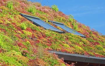 Broughtown living roof systems