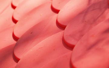 Broughtown plastic roof costs