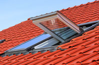 Broughtown roof window